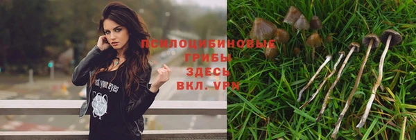 твердый Новодвинск