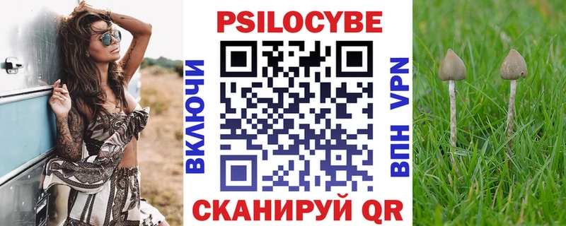 купить закладку  KRAKEN маркетплейс  Псилоцибиновые грибы Cubensis  Липецк 